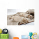 Sleeping Puppies of Golden Retriever Wall Mural