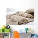 Sleeping Puppies of Golden Retriever Wall Mural
