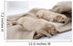 Sleeping Puppies of Golden Retriever Wall Mural