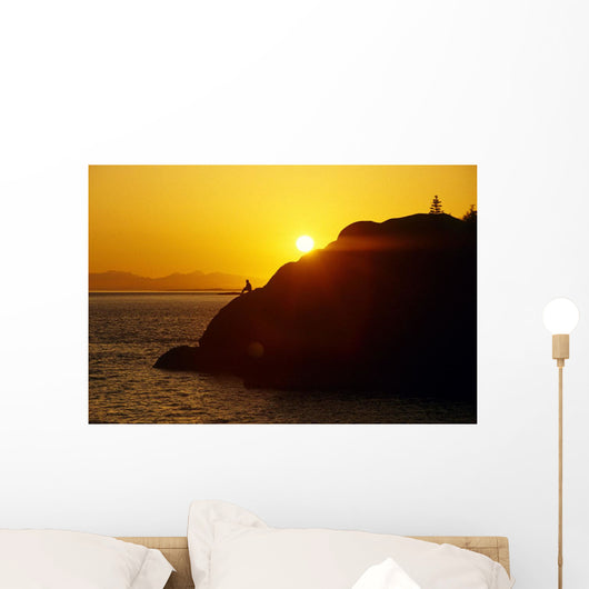 Silhouette Of Person On Rock Turnagain Arm Sc Ak Wall Mural