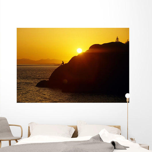 Silhouette Of Person On Rock Turnagain Arm Sc Ak Wall Mural