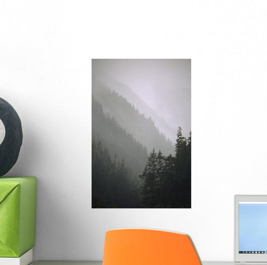 Trees In Fog Seward Southcentral Ak Winter Scenic Wall Mural