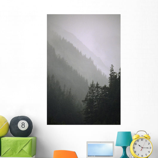 Trees In Fog Seward Southcentral Ak Winter Scenic Wall Mural
