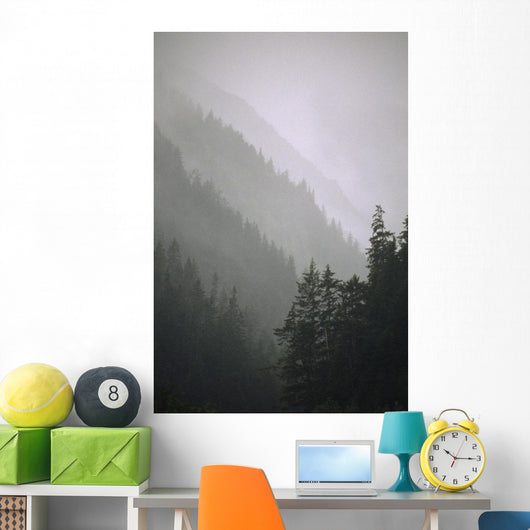 Trees In Fog Seward Southcentral Ak Winter Scenic Wall Mural