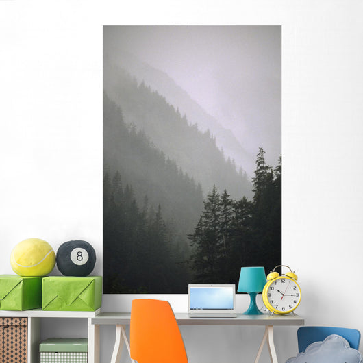 Trees In Fog Seward Southcentral Ak Winter Scenic Wall Mural