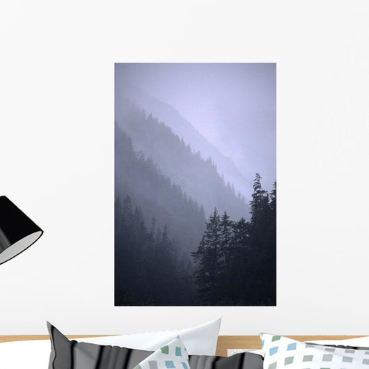 Trees In Fog Seward Southcentral Ak Winter Scenic Wall Mural