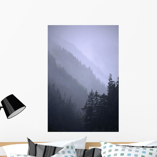 Trees In Fog Seward Southcentral Ak Winter Scenic Wall Mural