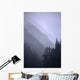 Trees In Fog Seward Southcentral Ak Winter Scenic Wall Mural