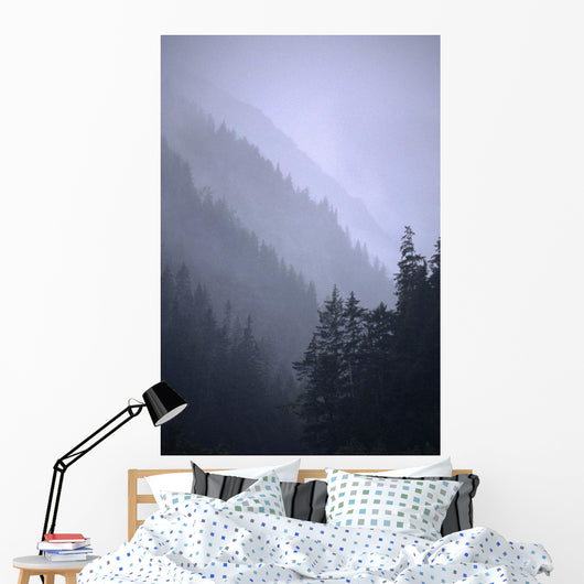 Trees In Fog Seward Southcentral Ak Winter Scenic Wall Mural
