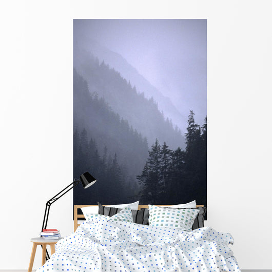 Trees In Fog Seward Southcentral Ak Winter Scenic Wall Mural