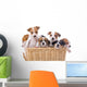 Jack Russell Terriers Wall Decal