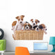 Jack Russell Terriers Wall Decal