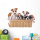 Jack Russell Terriers Wall Decal