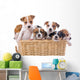 Jack Russell Terriers Wall Decal