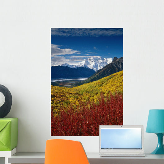 Fall Foliage Overlooking Kennicott Wall Decal