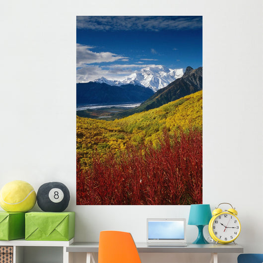 Fall Foliage Overlooking Kennicott Wall Decal