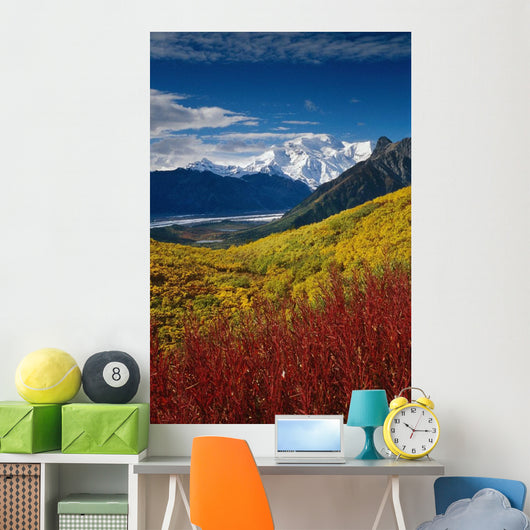 Fall Foliage Overlooking Kennicott Wall Decal