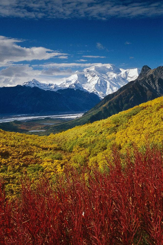 Fall Foliage Overlooking Kennicott Wall Decal