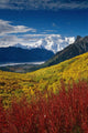 Fall Foliage Overlooking Kennicott Wall Decal