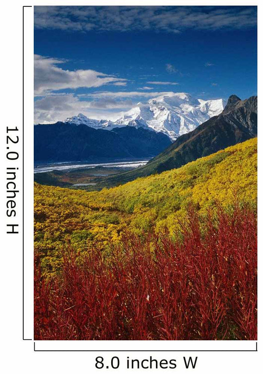 Fall Foliage Overlooking Kennicott Wall Decal