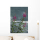 Fireweed Blooms Along Ptarmigan Creek Kp Ak Summer Chugach Nf Wall Mural