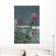 Fireweed Blooms Along Ptarmigan Creek Kp Ak Summer Chugach Nf Wall Mural