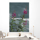 Fireweed Blooms Along Ptarmigan Creek Kp Ak Summer Chugach Nf Wall Mural