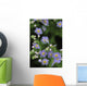 Forget-Me-Not Ak State Flower Covered In Dew Sc Ak Anchorage Garden Wall Mural