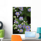 Forget-Me-Not Ak State Flower Covered In Dew Sc Ak Anchorage Garden Wall Mural
