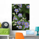 Forget-Me-Not Ak State Flower Covered In Dew Sc Ak Anchorage Garden Wall Mural