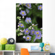 Forget-Me-Not Ak State Flower Covered In Dew Sc Ak Anchorage Garden Wall Mural