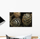 Closeup Weathered Black Spruce Wall Decal