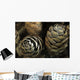 Closeup Weathered Black Spruce Wall Decal