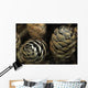 Closeup Weathered Black Spruce Wall Decal