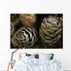 Closeup Weathered Black Spruce Wall Decal