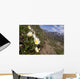 Mountain Avens Bloom On A Hillside At Denali National Park Spring Wall Mural