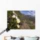 Mountain Avens Bloom On A Hillside At Denali National Park Spring Wall Mural