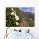 Mountain Avens Bloom On A Hillside At Denali National Park Spring Wall Mural