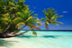 Tropical Paradise Maldives