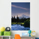Mt Mckinley W/ River Summer Scenic Southside View Sc Ak Wall Mural