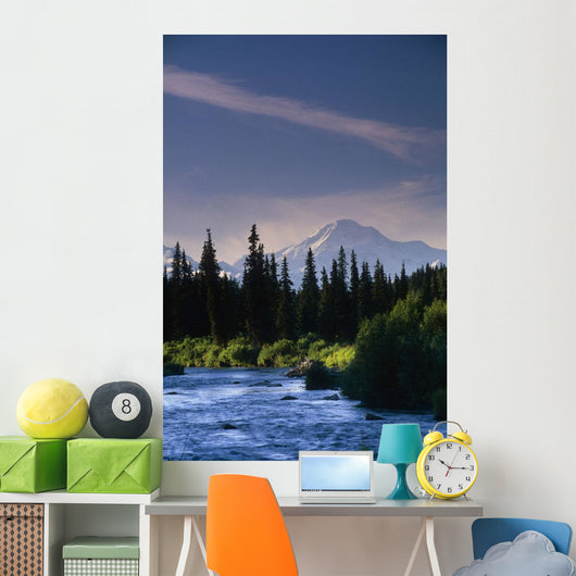 Mt Mckinley W/ River Summer Scenic Southside View Sc Ak Wall Mural