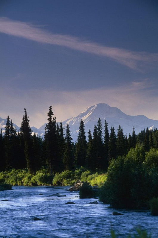 Mt Mckinley W/ River Summer Scenic Southside View Sc Ak Wall Mural