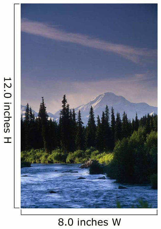 Mt Mckinley W/ River Summer Scenic Southside View Sc Ak Wall Mural