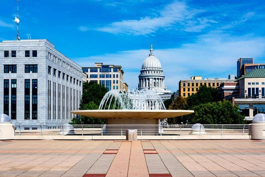 Fountain and State Capitol Wall Decal