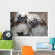 Cotton Top Tamarins Wall Mural