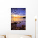 Saltern Cove Dawn