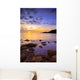 Saltern Cove Dawn