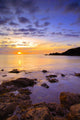 Saltern Cove Dawn
