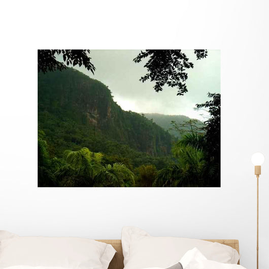 Tropical Rainforest Wall Decal