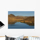 Umayo See Wall Decal